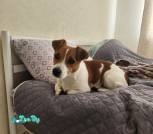 изображение_viber_2025-08-01_20-19-01-521