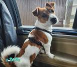 изображение_viber_2025-08-01_20-20-14-745