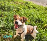 изображение_viber_2025-08-01_20-20-52-192