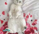 photo_2025-08-01_17-38-00