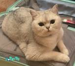 photo_2025-08-01_23-47-02