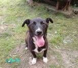 IMG-97682389decd15f3601a9bbd63a192cc-V