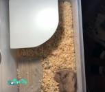 image-12-08-25-04-06-1