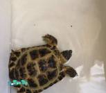 image-12-08-25-04-06