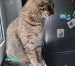 изображение_viber_2025-06-29_17-08-33-429