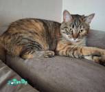 изображение_viber_2025-06-29_17-08-33-882