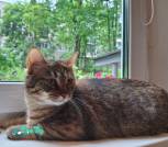 изображение_viber_2025-08-16_15-31-48-384