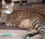 изображение_viber_2025-08-16_15-32-11-456