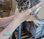 0-02-05-0b3bbcefebc412a00a7669b4da2f8b8f871b056727b0586bbad0cbc280ac6af5_be376f9187d7b978