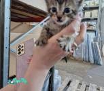 0-02-05-e6a5fb9646b2f2ae55b631bc5218ee6e2c1fa7ec0b1986b050db890cefeda38d_920817392774f94e