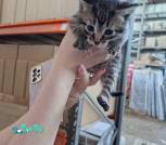 0-02-05-ffc72cf6a1eafc24a3e0e872976db4a039f7854174e8407e1a359bc019535223_8e4ebdad57d56fae