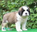 изображение_viber_2025-07-07_21-07-45-854