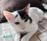 изображение_viber_2025-09-30_11-52-55-232