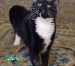 изображение_viber_2025-09-30_11-39-43-144