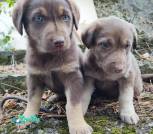 изображение_viber_2025-10-06_16-19-13-065