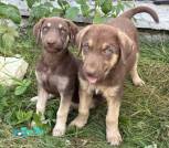 изображение_viber_2026-08-26_18-49-34-024