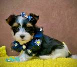 901362D4-D886-477C-BE98-6692764D21CD