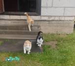 изображение_viber_2025-10-23_13-37-33-475