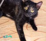 photo_2025-10-13_17-26-24