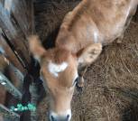 IMG-78692b190b4ad10dbed4ba77b1867e75-V