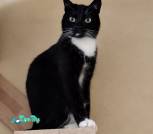 IMG_20260224_211344_977