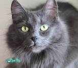 IMG_20260131_120229_165