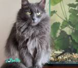 IMG_20260131_120244_431