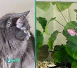 IMG_20260131_120244_556