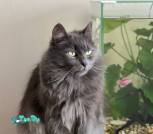 IMG_20260131_120244_589