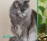 IMG_20260131_120244_710