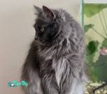 IMG_20260131_120245_252