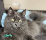 IMG_20260427_210613_119