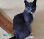 IMG_20260224_211338_088