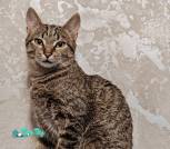 1000015644_1024x1365