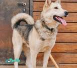 1000008382_1024x1536