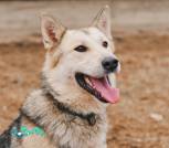 1000008398_1024x1536