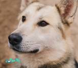 1000008405_1024x1536