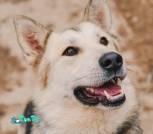 1000008407_1024x1536