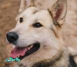 1000008409_1024x1536