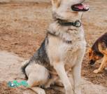 1000008417_1024x1536