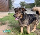 1000009126_1024x1365