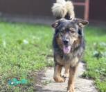 1000009127_1024x1365