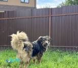 1000009128_1024x1365