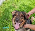 1000039661_1024x1365