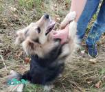 изображение_viber_2025-09-26_20-24-46-559