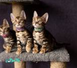 H47A9660_дляинт