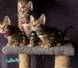 H47A9672_дляинт