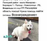 Снимок 13-11-2025 в 9.35 PM