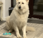 Снимок экрана 2025-11-12 в 5.09.17 PM