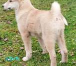 photo_2025-11-14_21-42-14